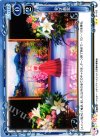  01-103 UC 天才画家 