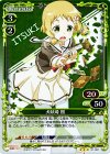  01-087 R 犬吠埼 樹 