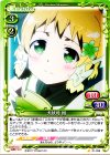  01-098 C 犬吠埼 樹 