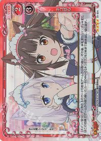 ネコぱら