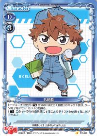 ST-016 B細胞