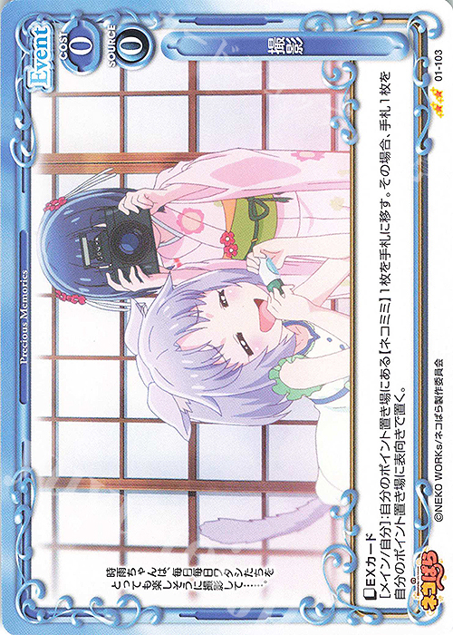N 撮影 | 販売 | ネコぱら | プレシャスメモリーズ
