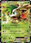 005/052 R シェイミEX
