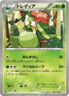 009/059 U ドレディア