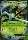 006/171 - ジュカインEX