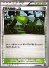 154/171 - 巨大植物の森