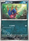 050/080 C キバニア