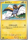 027/076 C カイデン
