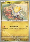 050/076 C ジャラコ