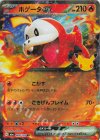 009/103 RR ホゲータex