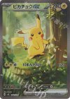  764/742 S-TD ピカチュウex(SAR仕様) 