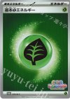 009/M-P PROMO 基本草エネルギー