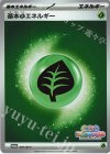  087/M-P PROMO 基本草エネルギー 