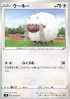  050/060 C ウールー 