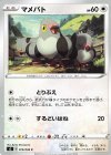  079/096 C マメパト 