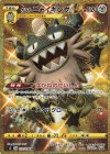  113/096 UR ガラルニャイキング 