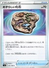  091/100 C めずらしい化石 