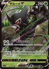 013/076 RR ザルードV