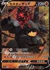 042/076 RR セキタンザンV
