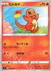  010/100 C ヒトカゲ 