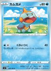  025/100 C カムカメ 