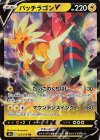  023/070 RR パッチラゴンV 