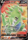 076/070 SR バンギラスV