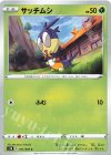  011/070 C サッチムシ 