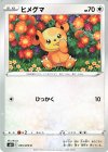  055/070 C ヒメグマ 