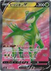  074/067 SR ビリジオンV 