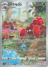  072/071 CHR パラセクト 