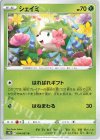  004/067 U シェイミ 