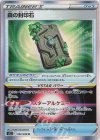 092/098 R 森の封印石