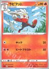  007/023 TD ラビフット 