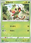 006/023 TD サルノリ