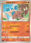 218/414 TD カポエラー