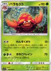 005/060 C パラセクト