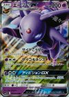 024/060 RR エーフィGX