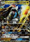 041/050 RR ジャラランガGX
