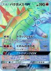 056/050 HR バクガメスGX