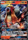 011/072 RR エンテイGX