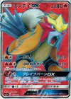 073/072 SR エンテイGX