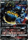 065/114 RR アクジキングGX