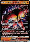 030/050 RR マッシブーンGX