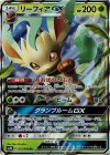 012/066 RR リーフィアGX