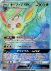 073/066 HR リーフィアGX