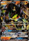 050/094 RR ジガルデGX