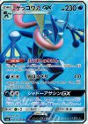 095/094 SR ゲッコウガGX
