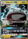 022/066 RR マルマインGX