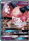 025/066 RR バリヤードGX